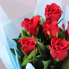 Lovely 6 Red Roses Bouquet