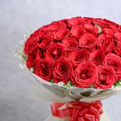 Scarlet Romance in Bloom
