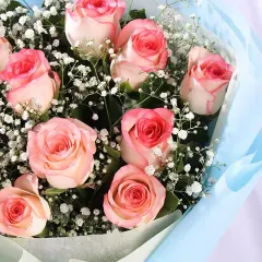 Blush Romance Wrapped in Blue
