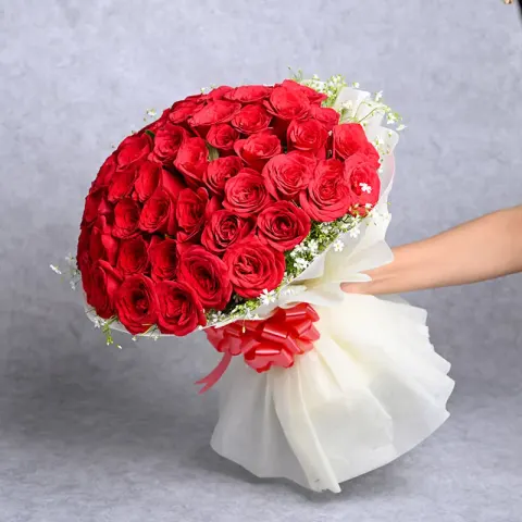Scarlet Romance in Bloom