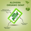 Aloe Vera Soap - Benefits