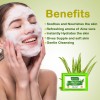 Aloe Vera Soap - Benefits