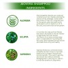 Doviko Aloe Vera Shampoo - Ingredients