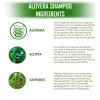 Doviko Aloe Vera Shampoo - Ingredients