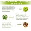 Amla Bhringraj Shampoo - Ingredients