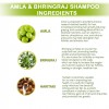 Amla Bhringraj Shampoo - Ingredients