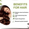 Doviko Natural Amla & Reetha Shampoo - Benefits