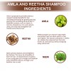 Amla Reetha Shampoo - Ingredients