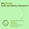 Doviko Natural Amla & Reetha Shampoo - Why Doviko