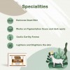 Goat Milk Soap - Specialties