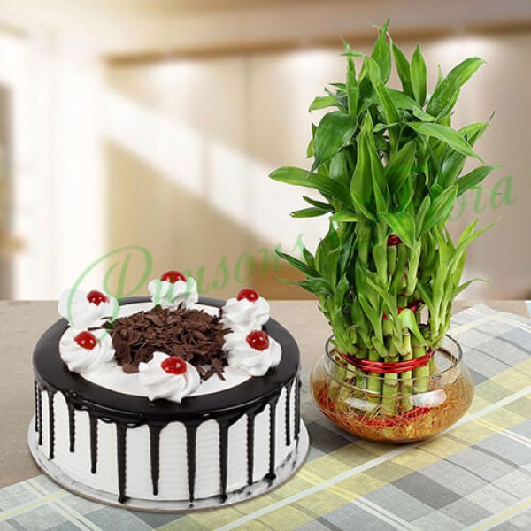 Eggless Blackforest Cake N Three Layer Bamboo