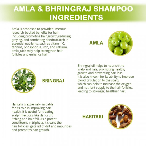 Amla Bhringraj Shampoo - Ingredients