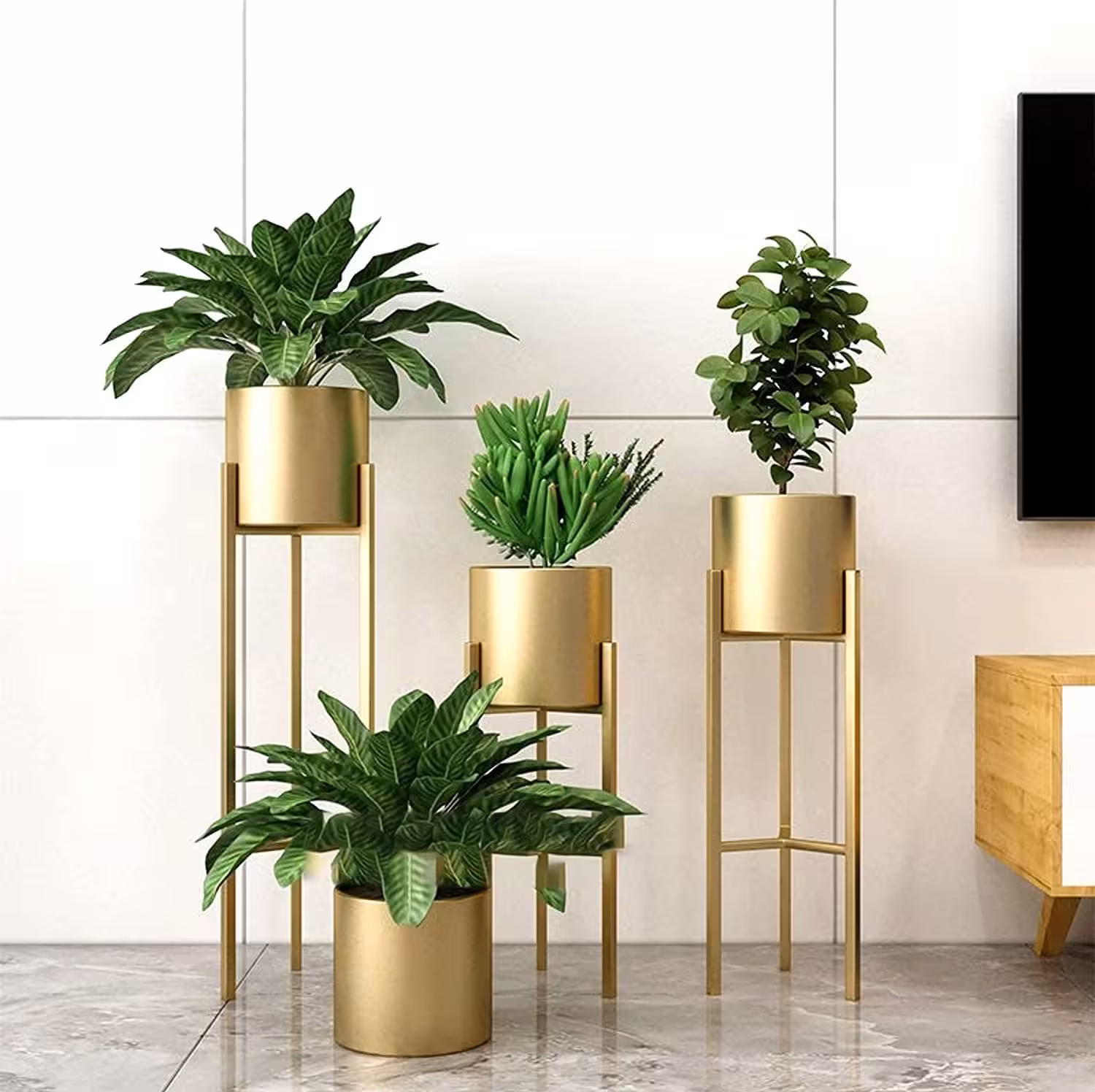 Best Living Room Indoor Plants Decoration Ideas