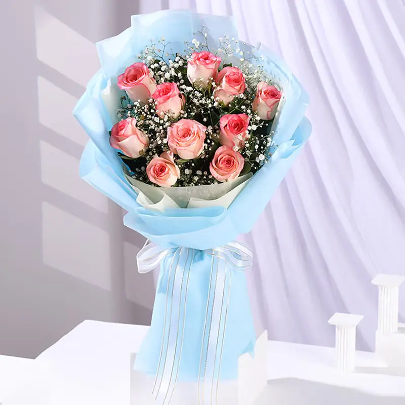 Blush Romance Wrapped in Blue